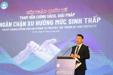 Cục trưởng Cục Dân số Lê Thanh Dũng phát biểu tại hội thảo.