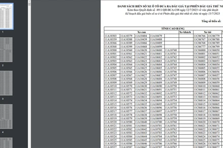 Danh sách biển số đấu giá đợt đầu.