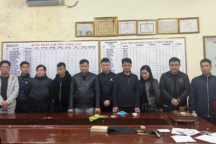 Bắt giữ các đối tượng cầm đầu tại Việt Nam.