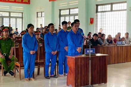 Tòa án nhân dân huyện Đăk Hà (Kon Tum) xét xử sơ thẩm công khai vụ án “Hủy hoại rừng” xảy ra tại Tiểu khu 325, thuộc xã Đăk Pxi. (Ảnh minh họa)