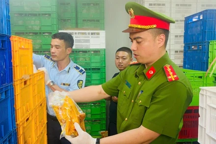 Cơ quan chức năng phát hiện khoảng 20 tấn thực phẩm đông lạnh không rõ nguồn gốc.