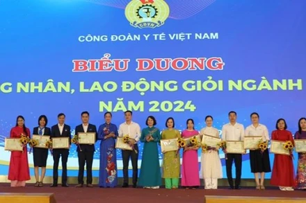 Biểu dương công nhân, cán bộ y tế giỏi năm 2024.