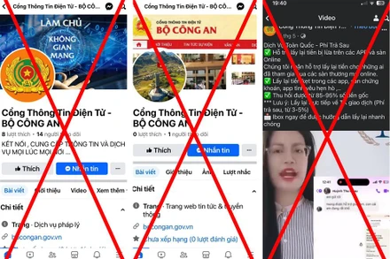 Các trang mạo danh.