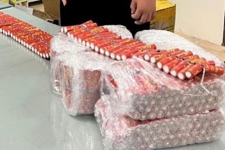 Tang vật thu giữ.