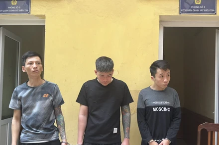 Ba đối tượng trộm cắp tài sản bị tạm giữ hình sự.