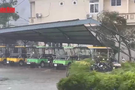 [Video] Bão số 3 thổi tốc mái tôn trên đường phố Cẩm Phả