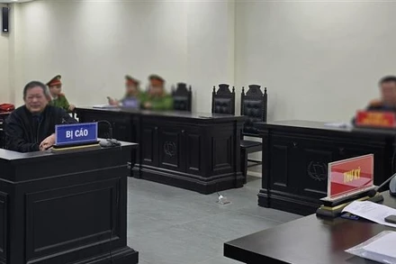 Bị cáo Trần Đình Triển tại một phiên xét xử. (Ảnh: KIM ANH/TTXVN)