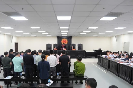 Toàn cảnh phiên tòa.