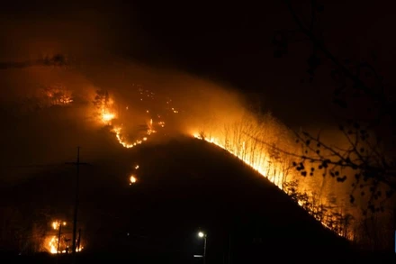 Cháy rừng tại Cheongsong, Hàn Quốc. (Ảnh: Tân Hoa xã)