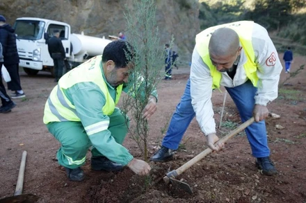 Một chiến dịch trồng cây ở châu Phi. (Ảnh tư liệu: Tân Hoa xã)