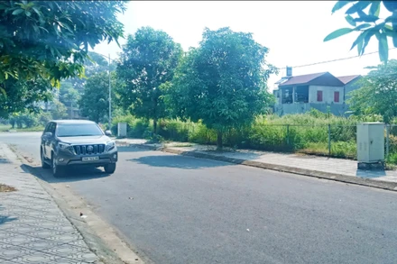 Nhiều lô đất đã hoàn thiện hạ tầng, nhưng chủ đầu tư chưa được phép chuyển nhượng để thu hồi vốn.