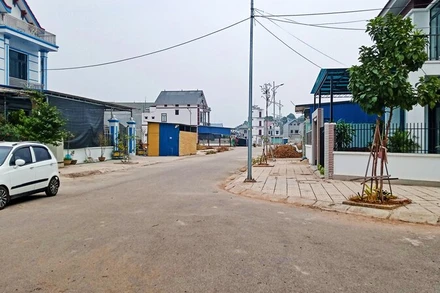 Người dân khu tái định cư phường Tân Hương tự trồng cây xanh.