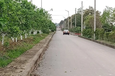 Nghĩa trang sinh thái Ngân Hà Viên được đầu tư xây dựng khang trang, nhiều cây xanh.