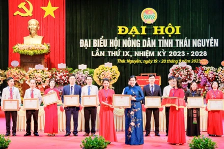 Đồng chí Nguyễn Thanh Hải, Bí thư Tỉnh ủy Thái Nguyên trao bằng khen cho các tập thể, cá nhân có thành tích xuất sắc trong công tác Hội Nông dân tỉnh Thái Nguyên.