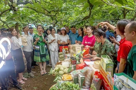 Bán hàng trực tuyến phát triển ở Thái Nguyên.