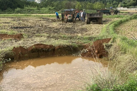 Mỏ sắt Trại Cau thực hiện trám lấp 164 hố sụt lún.