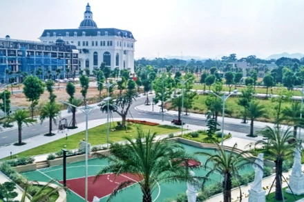 Cây xanh tại Khu đô thị Danko Thái Nguyên.