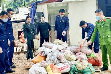 Cuối năm 2023, quản lý thị trường Thái Nguyên phát hiện, tiêu hủy 1 tấn da lợn ôi thiu, bốc mùi tại một cơ sở kinh doanh ở phường Phú Xá, thành phố Thái Nguyên.