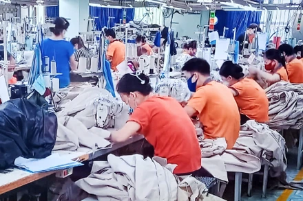 95% công nhân Công ty cổ phần Đầu tư và Thương mại TNG đi làm trở lại