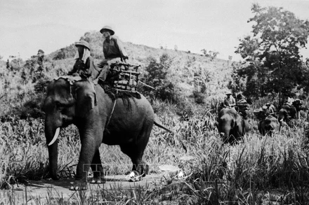 Bộ đội vận tải thuộc đơn vị 250 (Gia Lai) chuyển lương thực, vũ khí ra chiến trường. (Ảnh: Anh Tôn-TTXVN)