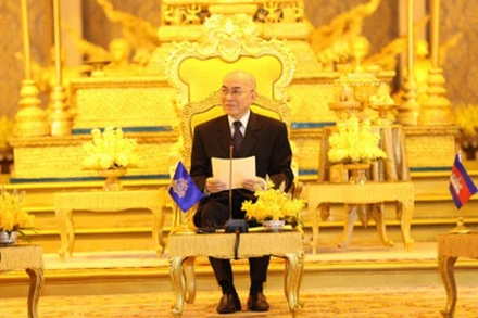 Quốc vương Campuchia Norodom Sihamoni tại cuộc tiếp kiến.