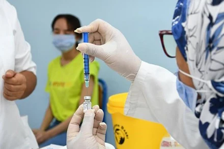 (Ảnh minh họa: THX/TTXVN)