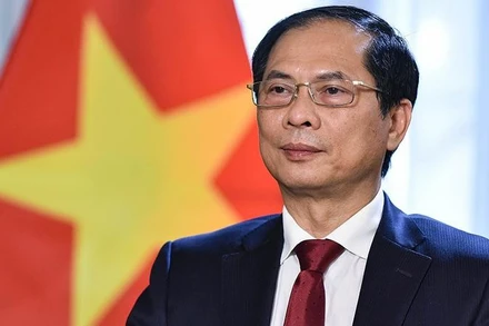 Bộ trưởng Ngoại giao Bùi Thanh Sơn.