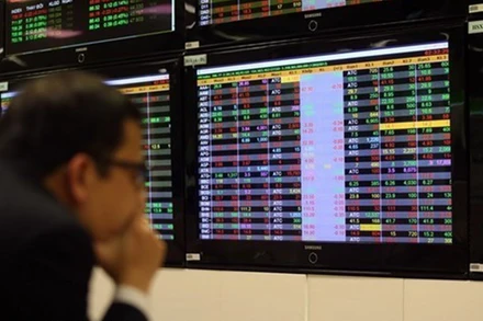 (Ảnh minh họa: TTXVN)