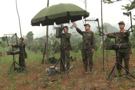 Cán bộ, nhân viên, chiến sĩ Tiểu đoàn 97 (Bộ Tham mưu Quân khu 3) đang thực hành trinh sát, phát hiện mục tiêu.