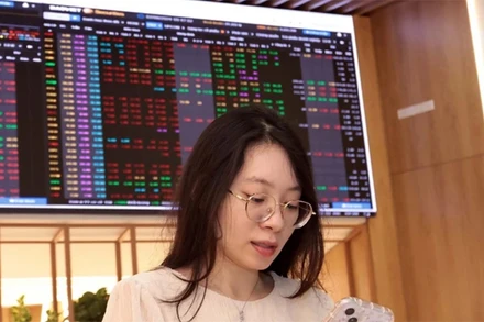 (Ảnh minh họa: TTXVN)