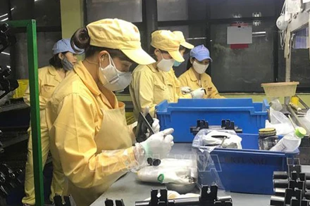 Lao động tại doanh nghiệp Hà Nội. (Ảnh: TTXVN)