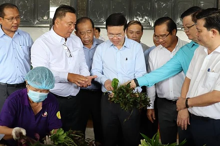 Thường trực Ban Bí thư Võ Văn Thưởng đi khảo sát công đoạn sơ chế rau tại Hợp tác xã Phước Thịnh, xã Phước Hậu (huyện Cần Giuộc, tỉnh Long An).