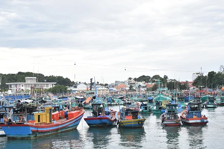 Khu vực cảng An Thới. 