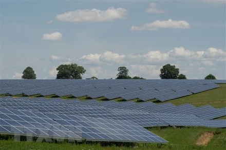 Ảnh minh họa. (Nguồn: AFP/TTXVN)