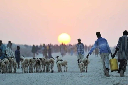 Ảnh minh họa. (Nguồn:news.un.org)