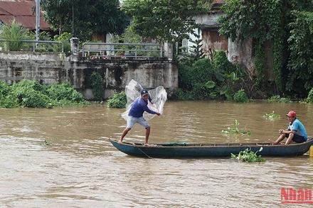 Chài cá trên sông Hậu.