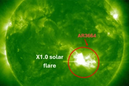 Hình ảnh về bão Mặt Trời. (Nguồn: SANSA)