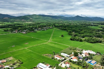 Quảng Nam phát triển ngành nông nghiệp theo hướng bền vững. (Ảnh: LÊ ANH QUÂN)