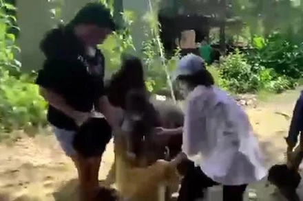 Nữ sinh bị đánh hội đồng. (Ảnh cắt từ clip)