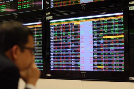 (Ảnh minh họa: TTXVN)