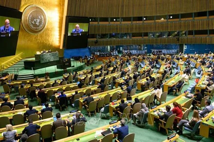 Toàn cảnh phiên họp của Đại hội đồng Liên hợp quốc bầu chọn các quốc gia thành viên mới của Hội đồng Nhân quyền nhiệm kỳ 2024-2026, tại New York, Mỹ ngày 10/10/2023. (Ảnh: THX/TTXVN)