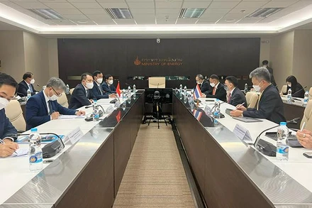 Lãnh đạo Bộ Công thương và tỉnh Quảng Trị làm việc với lãnh đạo Bộ Năng lượng và Tập đoàn Điện lực Thái Lan.