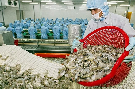 Xuất khẩu tôm sang Canada tăng trưởng mạnh.