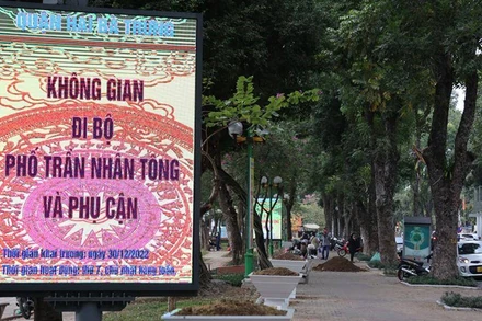 Chỉnh trang vỉa hè tuyến phố đi bộ.