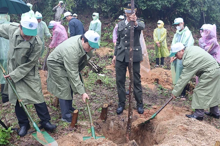 Lãnh đạo tỉnh Quảng Ngãi tham gia trồng cây đời đời nhớ ơn Bác Hồ.
