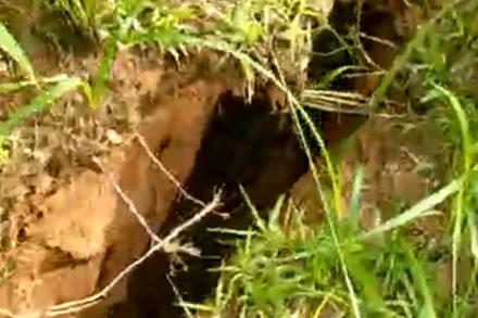 Phát hiện vết nứt tại huyện miền núi Bắc Trà My (Quảng Nam).