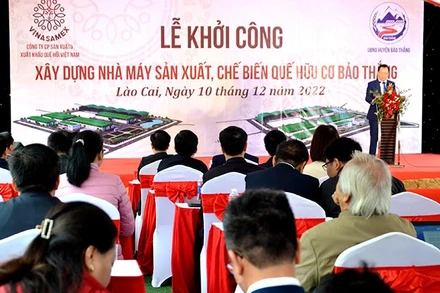 Khởi công xây dựng Nhà máy sản xuất, chế biến quế hữu cơ Bảo Thắng.