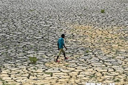 Lòng sông khô cạn do các đợt nắng nóng và hạn hán kéo dài tại New Delhi, Ấn Độ. (Ảnh: AFP/TTXVN)