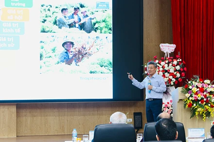 Phó Tổng Giám đốc Công ty cổ phần Traphaco Nguyễn Huy Văn trình bày báo cáo nghiên cứu phát triển bền vững chuỗi giá trị Đinh lăng tại Việt Nam.