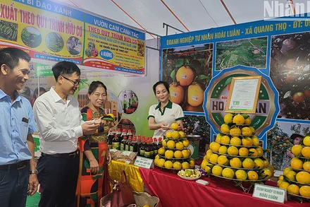 Gian hàng trưng bày sản phẩm cam của huyện Can Lộc tại Lễ hội Cam.